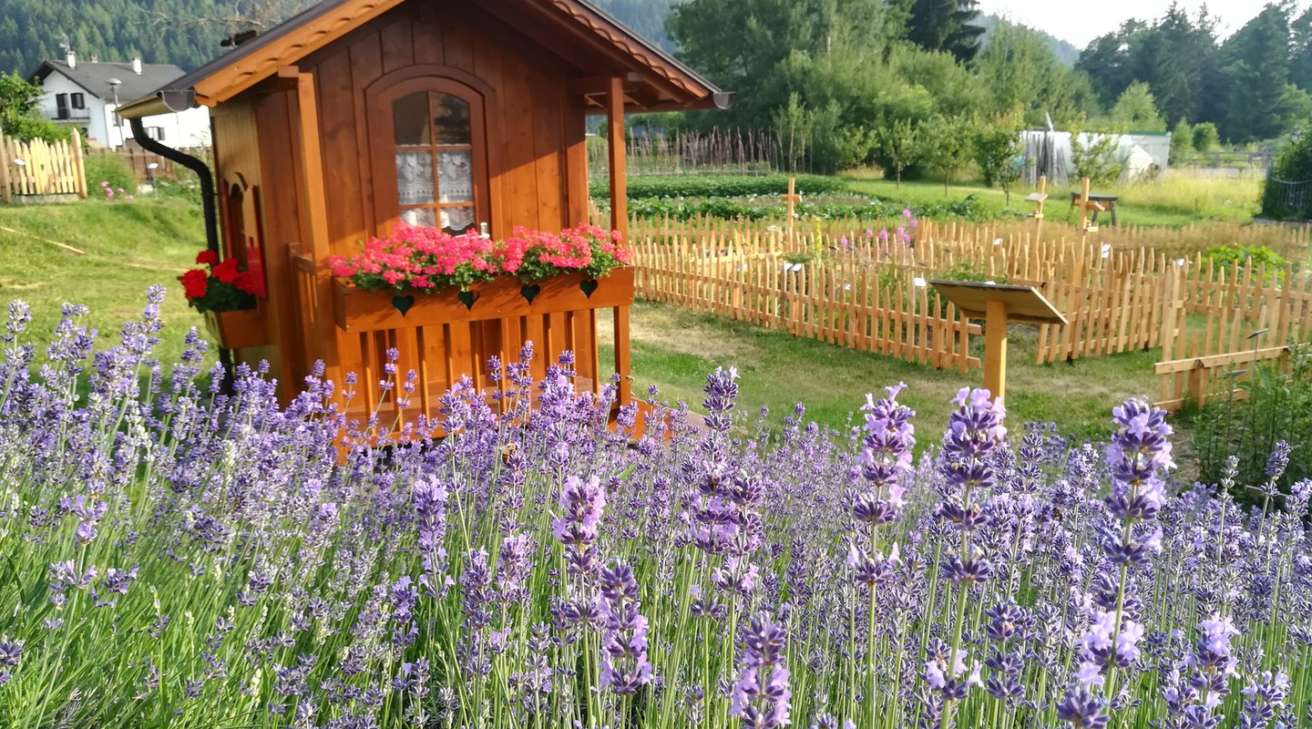 Giardino