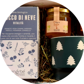 agdo_fiocco_di_neve_cup_2025_circle