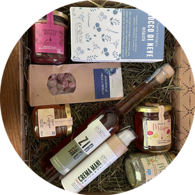 agdo_zirmo_2025_circle