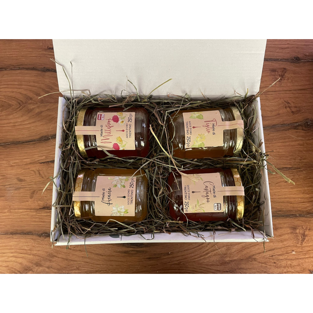 agdo_miele_2025_square