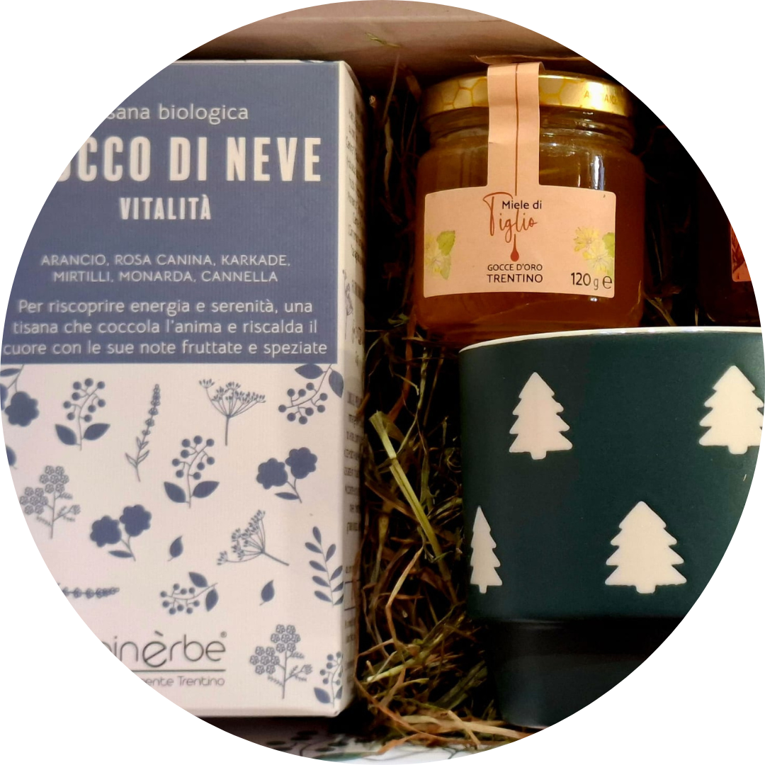 agdo_fiocco_di_neve_cup_2025_circle