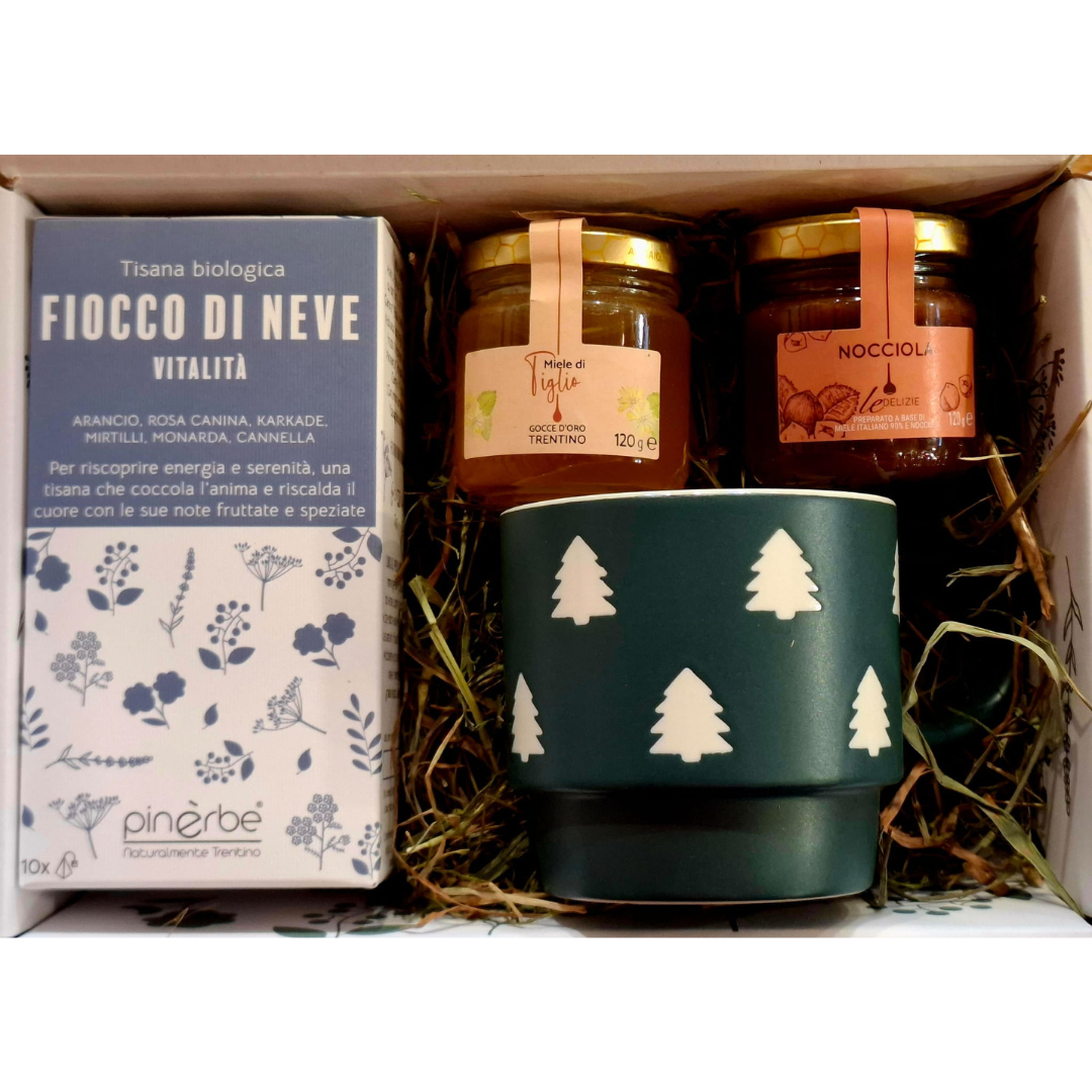 agdo_fiocco_di_neve_cup_2025_square