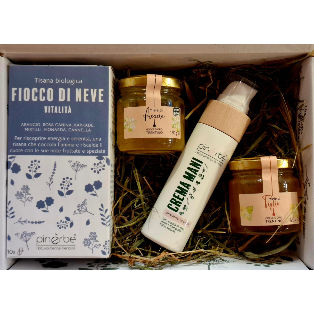 agdo_fiocco_di_neve_pinerbe_2025_square