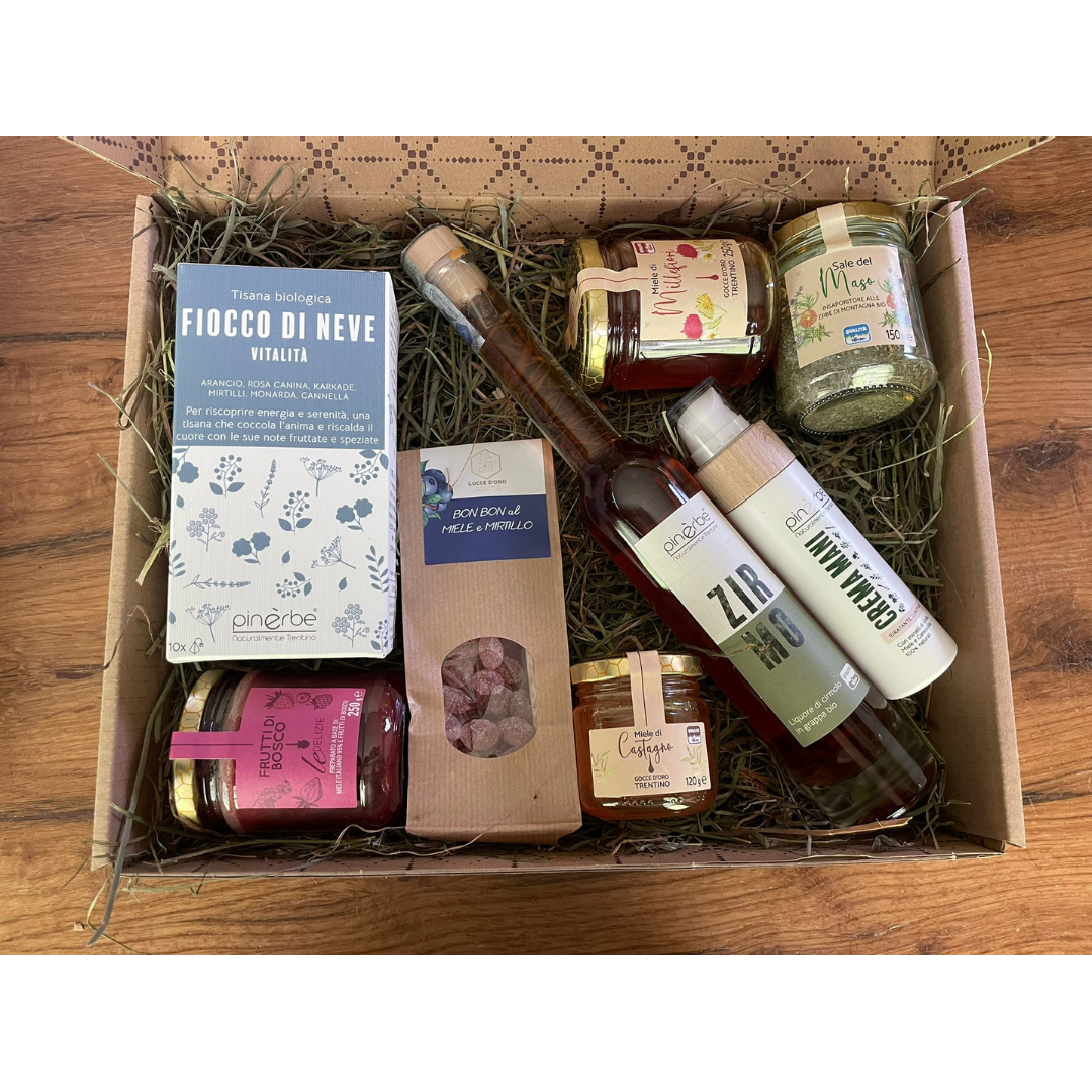 agdo_zirmo_2025_square