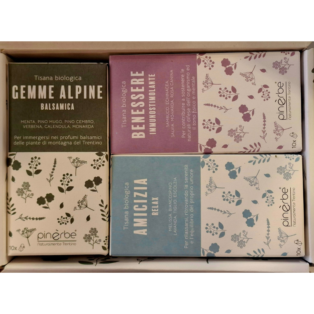 agdo_tisase_2025_square