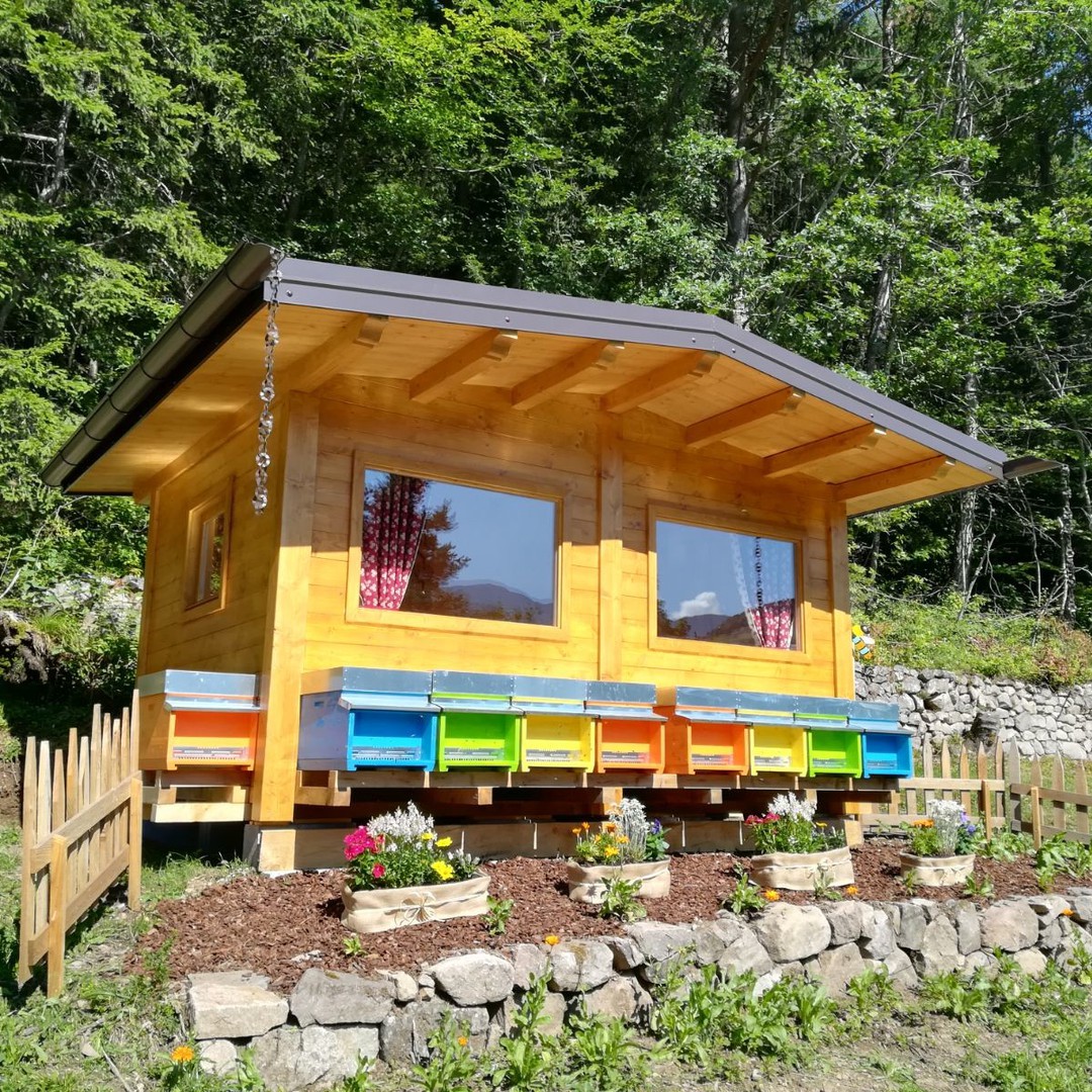 BeeWellness 1