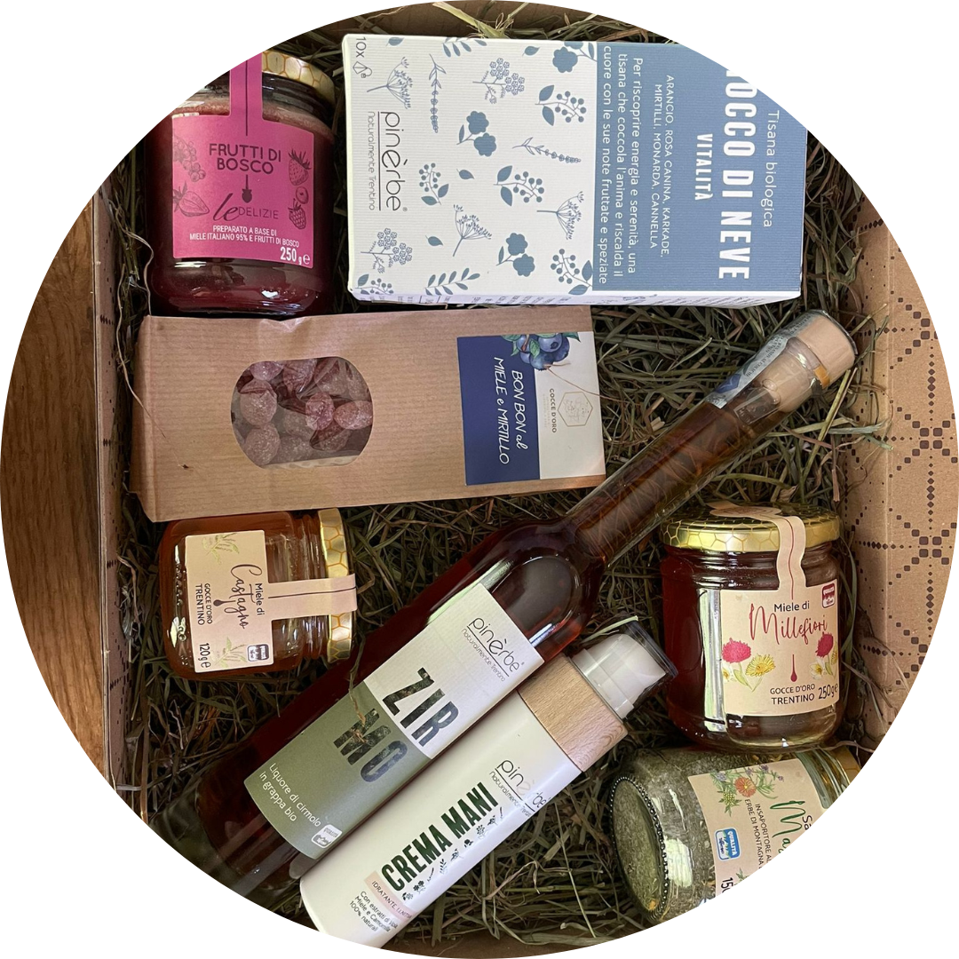 agdo_zirmo_2025_circle